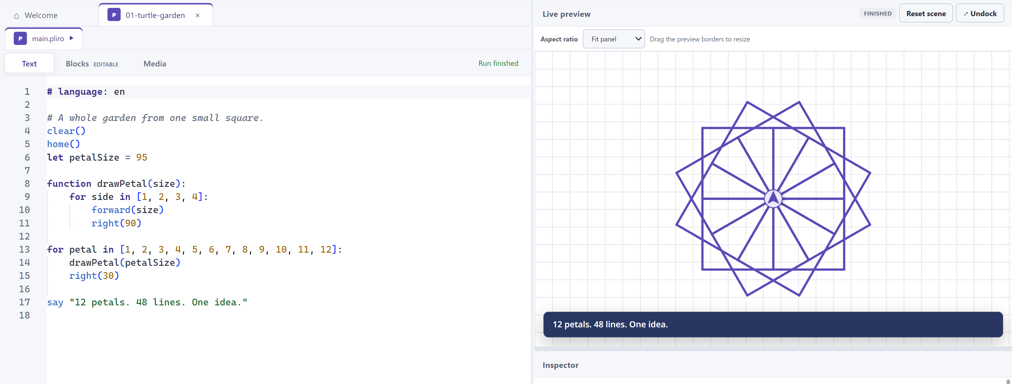 Pliro source code beside a twelve-petal turtle drawing in the desktop IDE